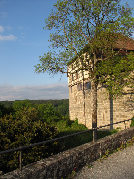 Palas Burg Maienfels